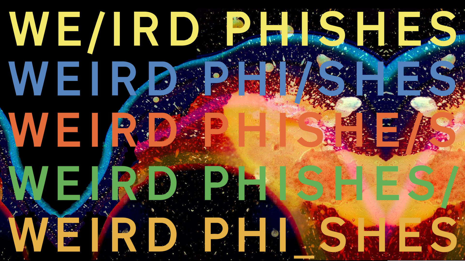 In Rainbows Banner